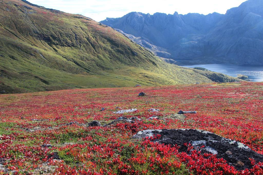 Frugga Feriehus Og Leilighet Straumsjoen المظهر الخارجي الصورة